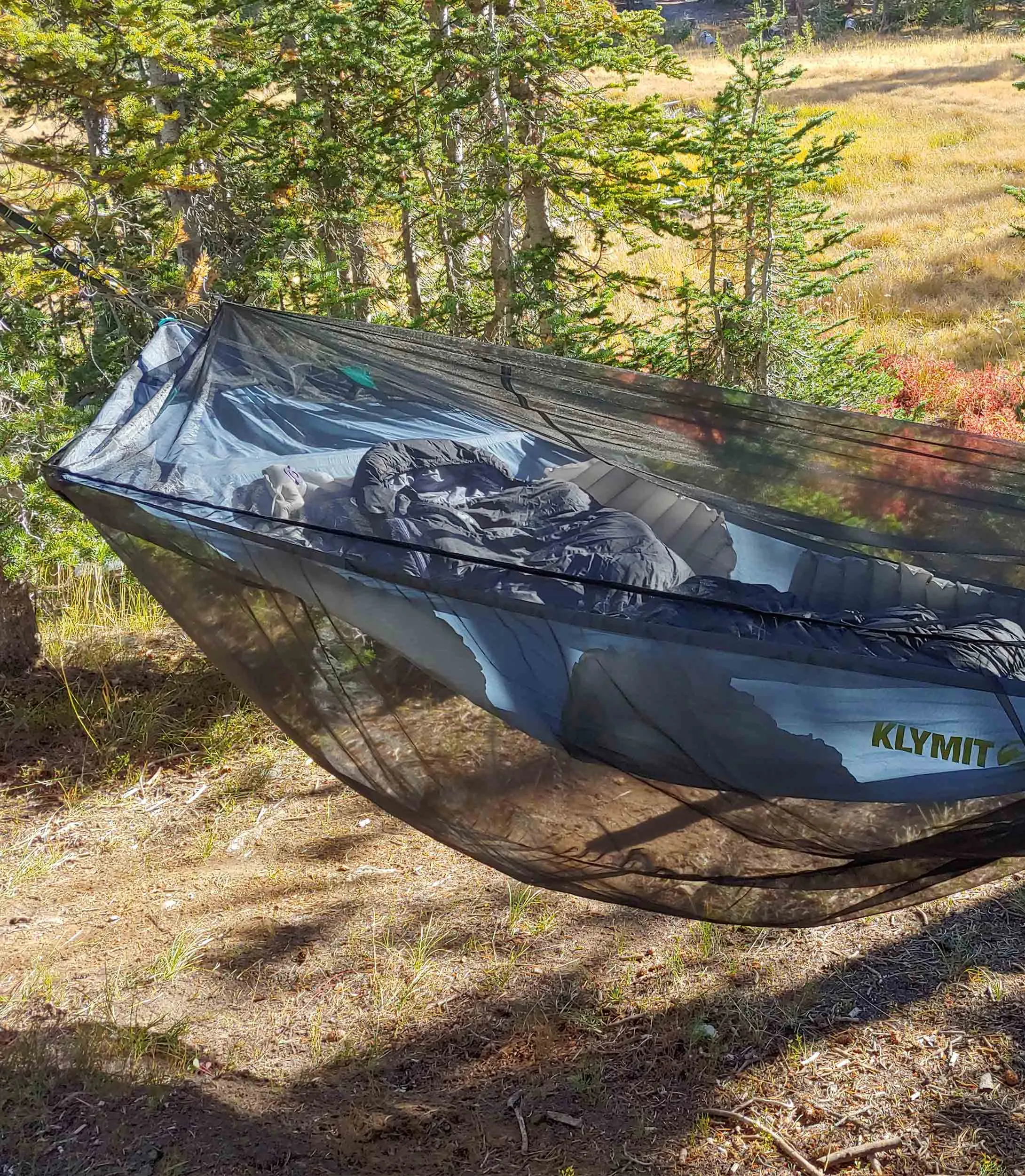 Traverse Bug Net